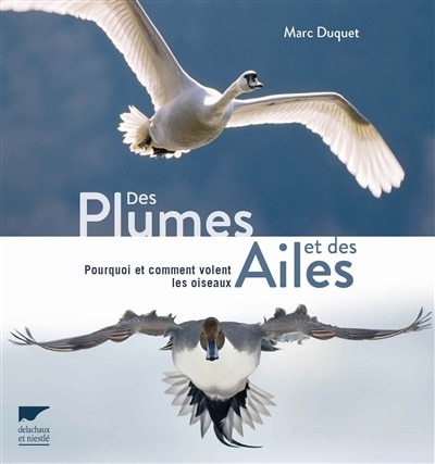 Des plumes et des ailes: Pourquoi et comment volent les oiseaux