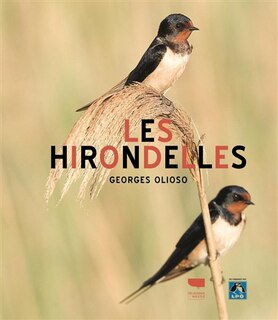Couverture_Les hirondelles