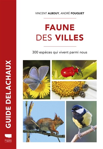 Couverture_Faune des villes : 300 espèces qui vivent parmi nous