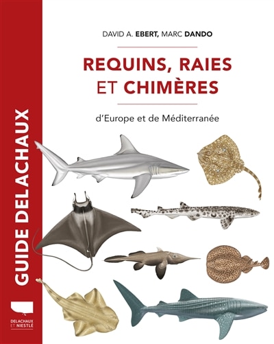Couverture_Requins, raies et chim&egrave;res d'Europe et de M&eacute;diterran&eacute;e