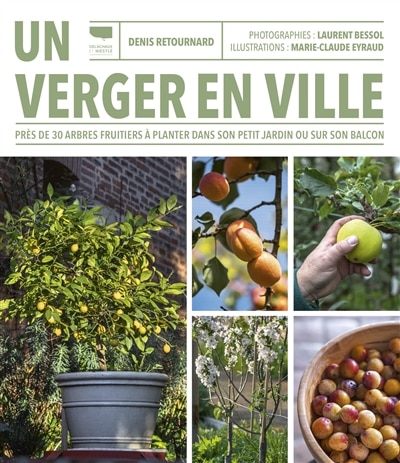 Un verger en ville: près de 30 arbres fruitiers à planter dans son petit jardin ou sur son balcon
