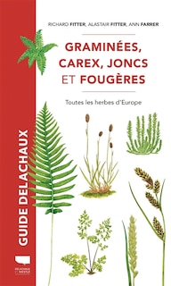 Couverture_Graminées, carex, joncs et fougères