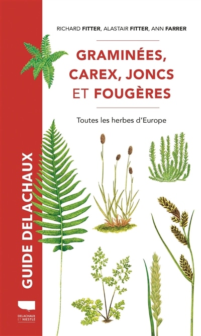 Couverture_Graminées, carex, joncs et fougères