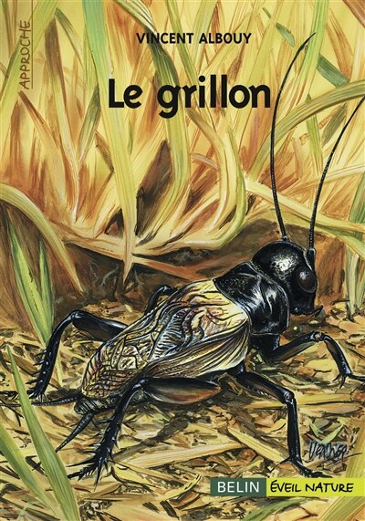 Front cover_Le grillon