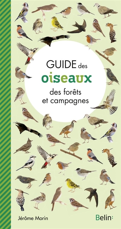 Front cover_Guide des oiseaux des forêts et campagnes