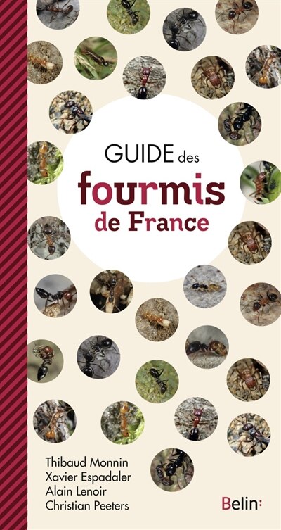 Front cover_Guide des fourmis de France