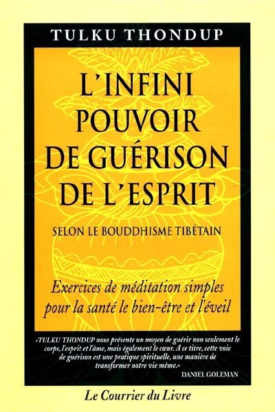 Front cover_L' infini pouvoir de guérison de l'esprit