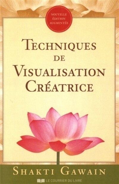 Couverture_Techniques de visualisation créatrice