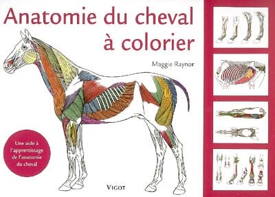 Anatomie du cheval à colorier: une aide à l'apprentissage de l'anatomie du cheval