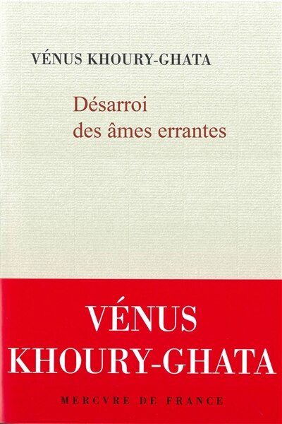 Couverture_Désarroi des âmes errantes