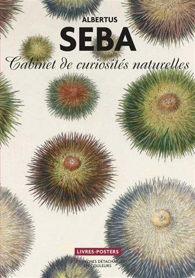 Front cover_Cabinet de curiosités naturelles
