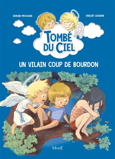 Couverture_Un Vilain Coup De Bourdon