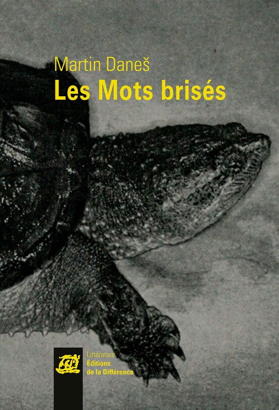 Front cover_Les mots brisés