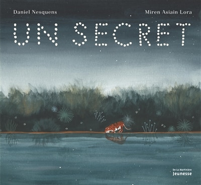 Couverture_UN SECRET