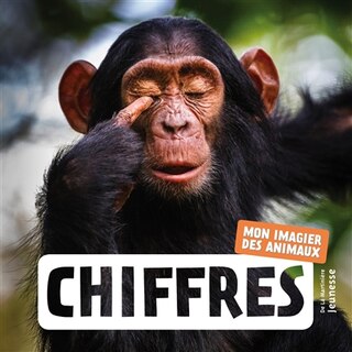 Couverture_Chiffres