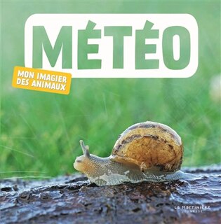 Couverture_Météo