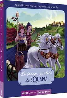 Front cover_Le tr&eacute;sor gaulois de S&eacute;quana