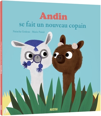 Couverture_Andin se fait un nouveau copain