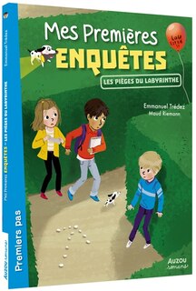 Couverture_Les pièges du labyrinthe