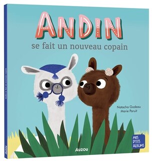 Couverture_Andin se fait un nouveau copain