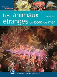 Couverture_Les animaux étranges du bord de mer