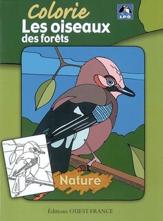 Couverture_Colorie les oiseaux des forêts