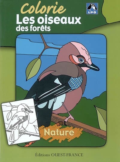 Couverture_Colorie les oiseaux des forêts