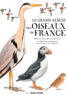 Front cover_Le grand album des oiseaux de France