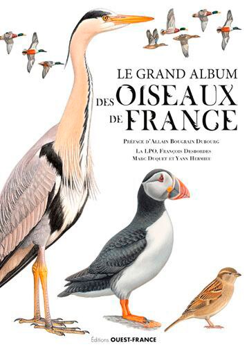 Front cover_Le grand album des oiseaux de France