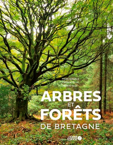 Couverture_Arbres et forêts de Bretagne