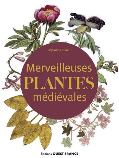 Front cover_Merveilleuses plantes m&eacute;di&eacute;vales