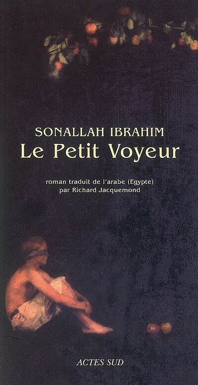 Couverture_Le petit voyeur