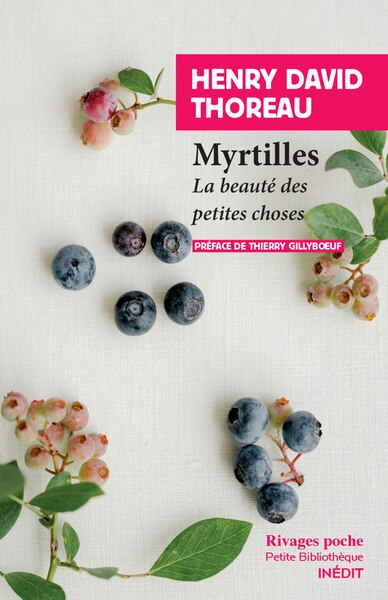 Couverture_Myrtilles