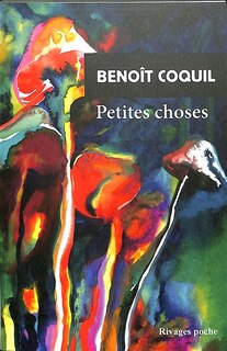 Couverture_Petites choses