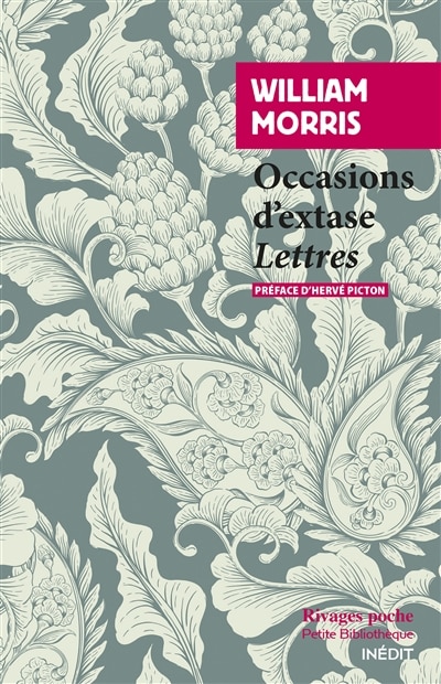 Couverture_Occasions d'extase : lettres
