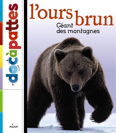 Couverture_L' ours brun