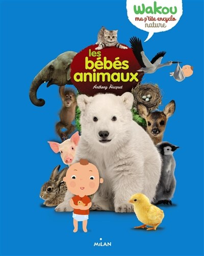 Couverture_Les bébés animaux