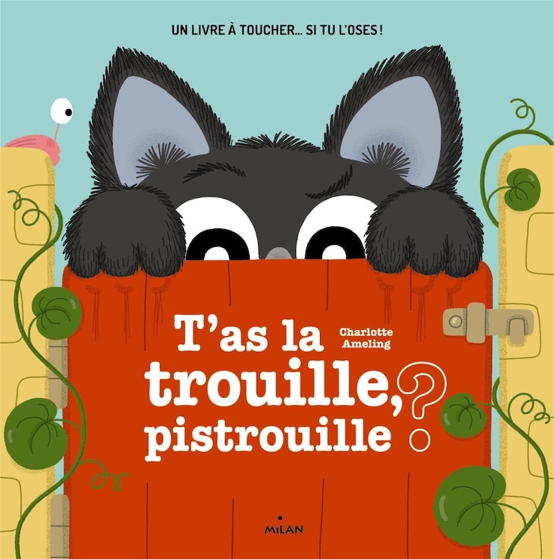 T'as la trouille, pistrouille ?: un livre à toucher... si tu l'oses !