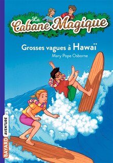 Couverture_Grosses vagues à Hawaï