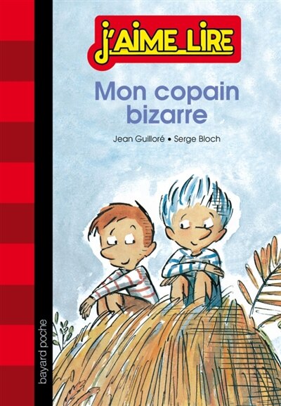 Couverture_Mon copain bizarre