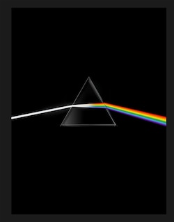 Couverture_Pink Floyd : their mortal remains