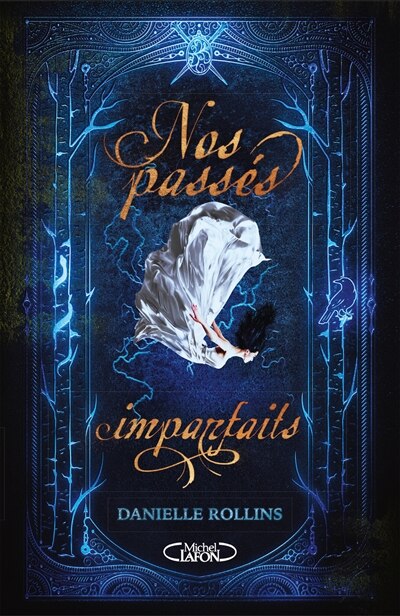 Couverture_Destins volés