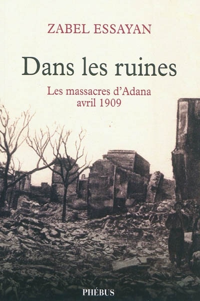 Couverture_Dans les ruines