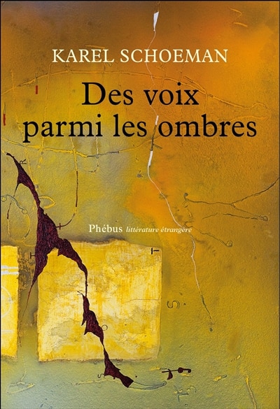 Front cover_Des voix parmi les ombres