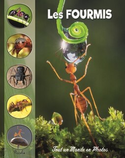 Front cover_Les fourmis