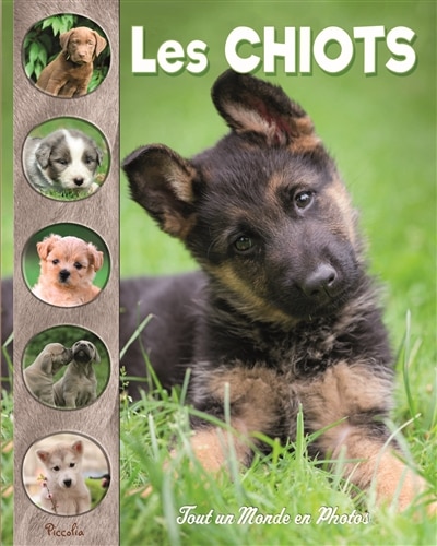 Front cover_Les chiots
