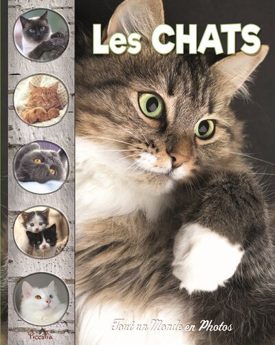 Front cover_Les chats