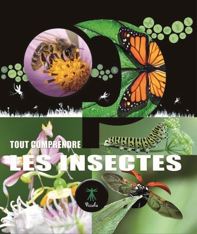 Couverture_Les insectes