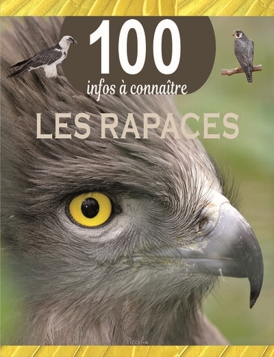 Couverture_Les rapaces