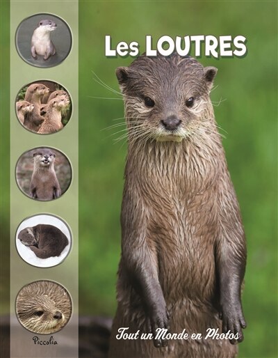 Front cover_Les loutres